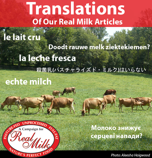 Translations-600x626