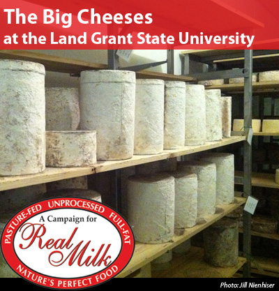 The Big Cheeses at the Land Grant State University