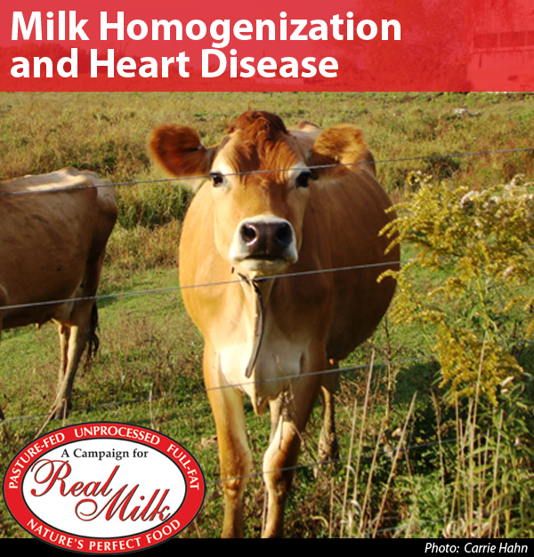 Health-MilkHomogenization-600x626