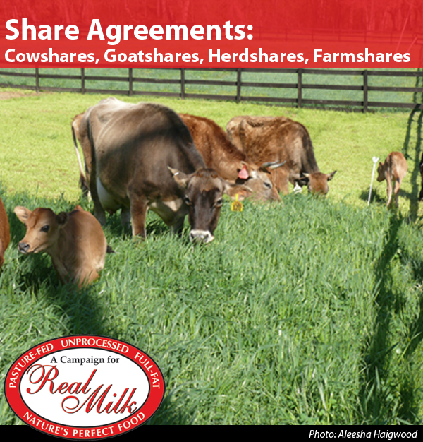 Herd-ShareAgreements-600x626