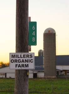 CDC accuses Millers Organic Farm of causing raw milk illness