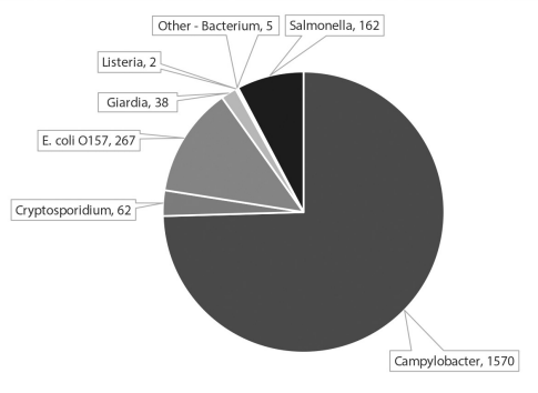 This is a pie chart illustrating the relative numbers of illnesses per pathogen associated with raw milk in the period 2005-2020, per the CDC. From the largest to the smallest number of illnesses over the 16-year period, they are Campylobacter (1,570), E. Coli O157 (267), Salmonella (162), Cryptosporidium (62), Giardia (38), Other-Bacterium (5), Listeria (2).